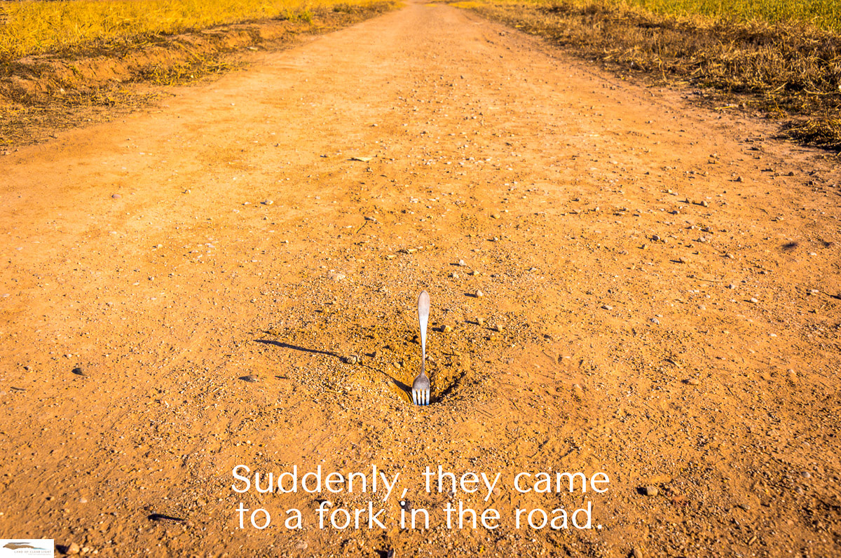 A literal fork in a road.